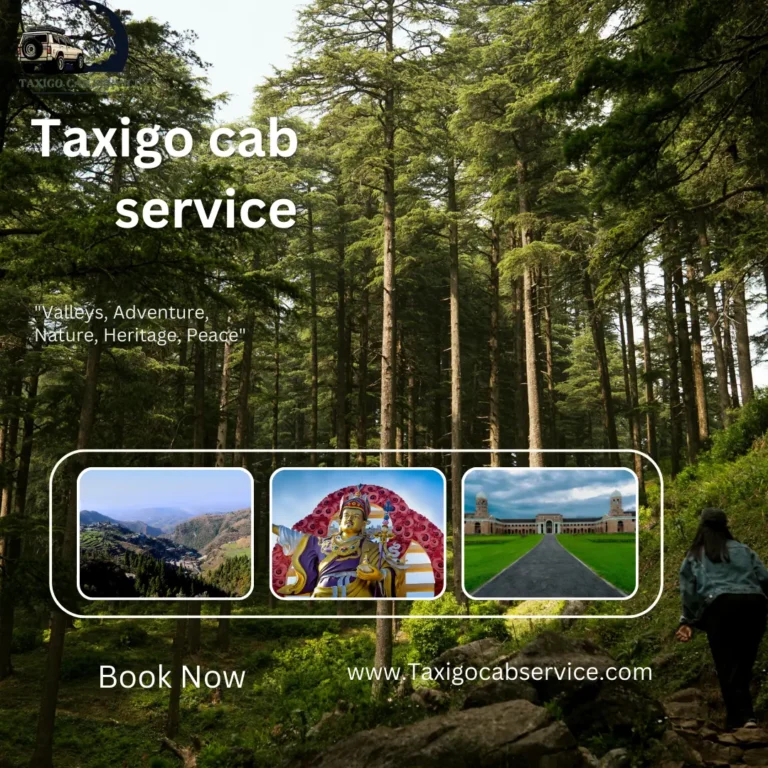 TaxiGo Cab Service